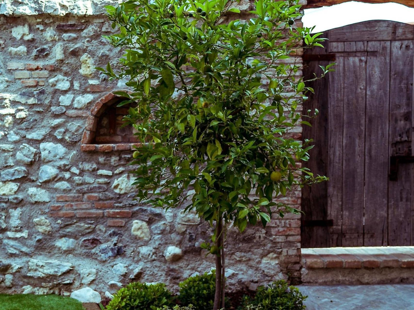 Villa Fontanelle Gardapartments Polpenazze del Garda Exterior photo